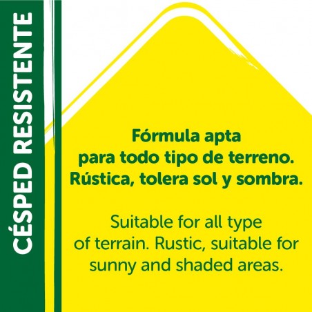 SEMILLAS CÉSPED RESISTENTE