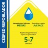 SEMILLAS CÉSPED REPOBLADOR