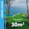 SEMILLAS CÉSPED COSTA