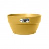 BOWL VIBIA MOSTAZA