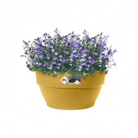 BOWL VIBIA MOSTAZA