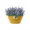 BOWL VIBIA MOSTAZA