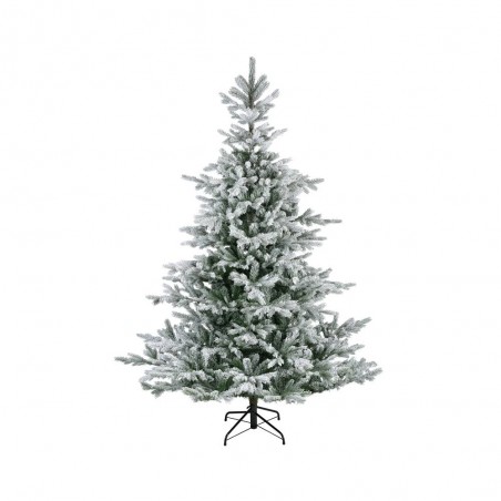 ABETO GRANDIS FIR NEVADO