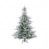 ABETO GRANDIS FIR NEVADO