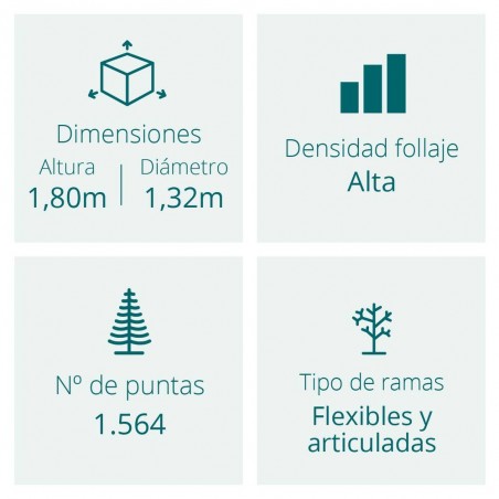 ABETO GRANDIS FIR NEVADO