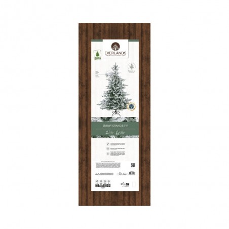 ABETO GRANDIS FIR NEVADO