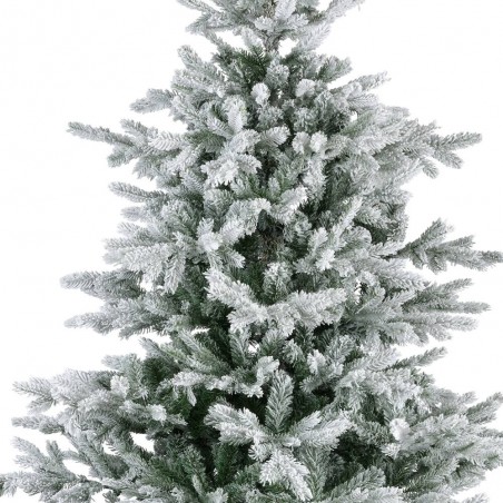 ABETO GRANDIS FIR NEVADO