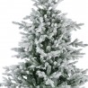ABETO GRANDIS FIR NEVADO