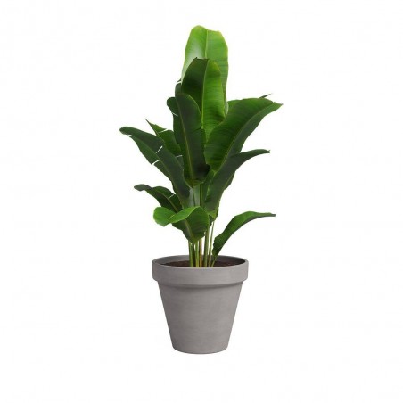 MACETA BARRO ANTRACITA