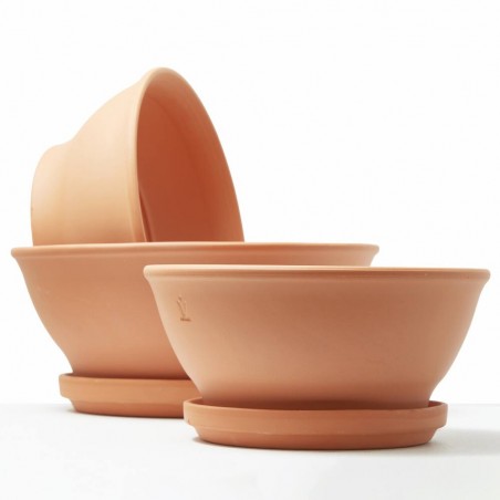 MACETA BOWL BARRO ROJO