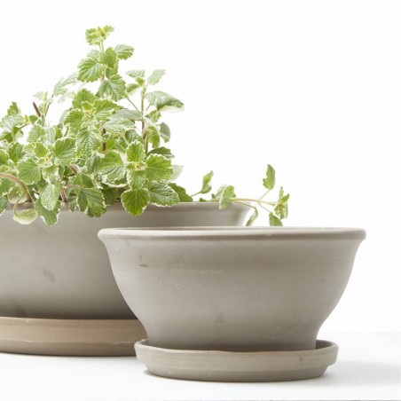 MACETA BOWL BARRO ANTRACITA