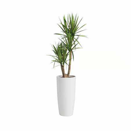 CUBRE SANTORINI BLANCO