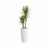 CUBRE SANTORINI BLANCO