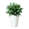 CUBRE SANTORINI BLANCO