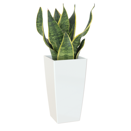 CUBRE PISA BLANCO