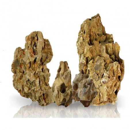 ROCA RIVEREST DRAGON