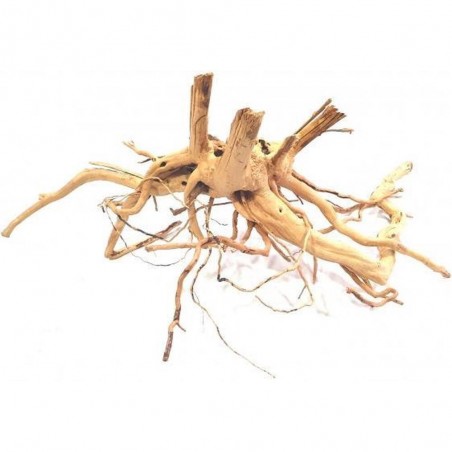 MADERA RIVEREST SPIDER