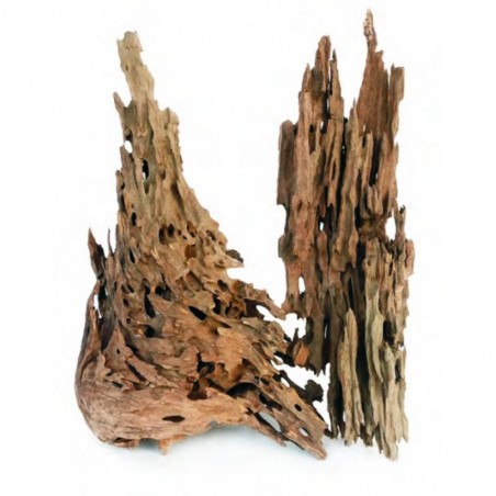 MADERA RIVEREST DRAGON WOOD