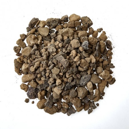 SUSTRATO PLANTA ACUATICA VERDECORA