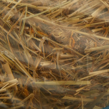 HENO VERDECORA MENTA Y CALENDULA 1 KILO