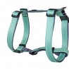BULL ARNES REFLECTANTE AQUA