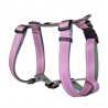 BULL ARNES REFLECTANTE PINK