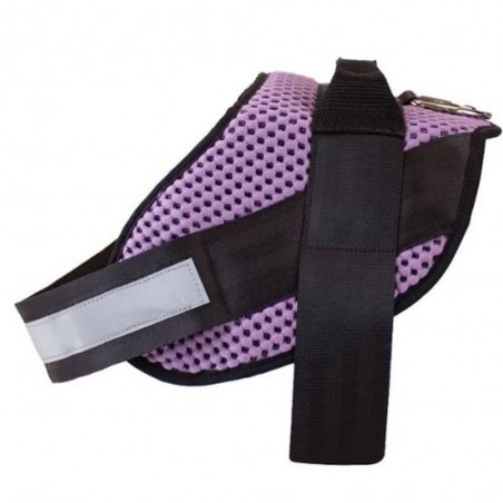 BULL ARNES STRONG HAPPY PETS PURPLE