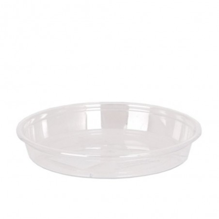 PLATO MACETA TRANSPARENTE