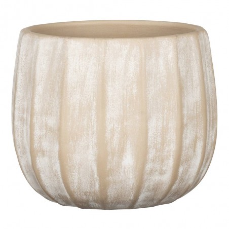MACETERO WASHED CREAM