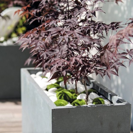 MURO ALTO GYPSE GRIS CON INSERT