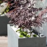 MURO ALTO GYPSE GRIS CON INSERT