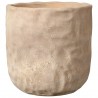 MACETA BOL FOSSIL
