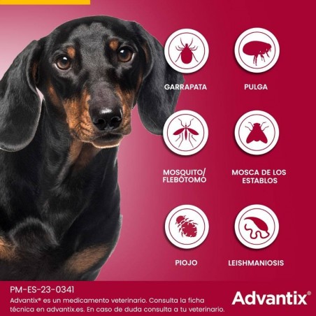 1-4KG PIPETA ADVANTIX PARA PERROS
