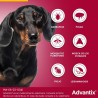 1-4KG PIPETA ADVANTIX PARA PERROS