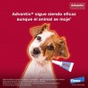 4-10KG PIPETA ADVANTIX PARA PERROS