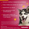 10-25KG PIPETA ADVANTIX PARA PERROS