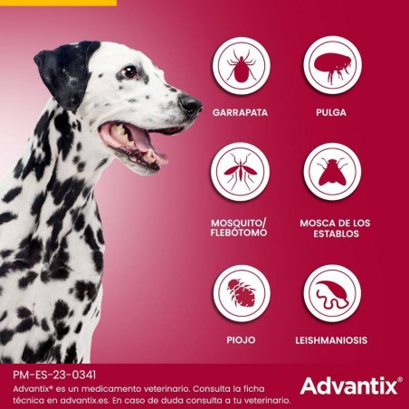10-25KG PIPETA ADVANTIX PARA PERROS
