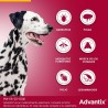 10-25KG PIPETA ADVANTIX PARA PERROS