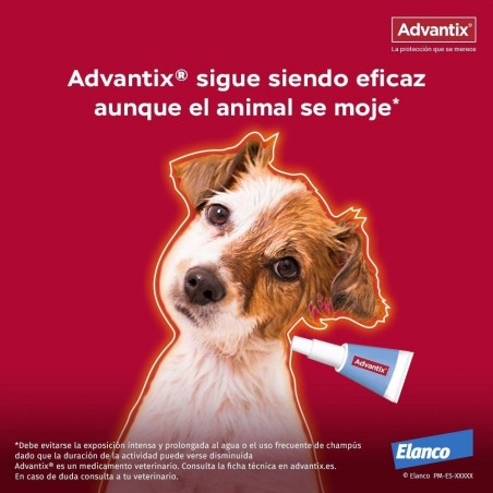 10-25KG PIPETA ADVANTIX PARA PERROS