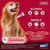 25-40KG PIPETA ADVANTIX PARA PERROS