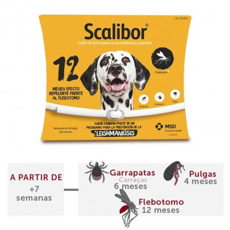 COLLAR SCALIBOR PARA PERRO
