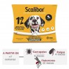 COLLAR SCALIBOR PARA PERRO