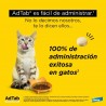 0,5-2KG COMPRIMIDO MASTICABLE ANTIPARASITARIO ADTAB GATO 12MG
