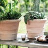MACETA VASO SIENA