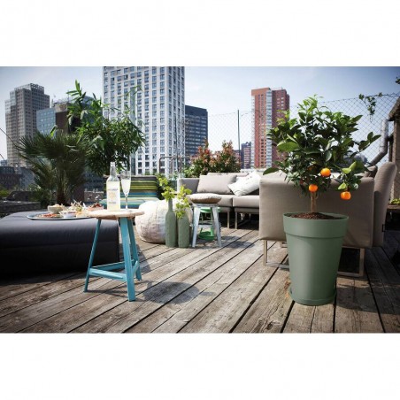 PLATO LOFT URBAN VERDE