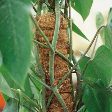 TUTORES DE COCO APILABLES