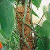 TUTORES DE COCO APILABLES