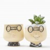 MACETERO CARITA CON GAFAS
