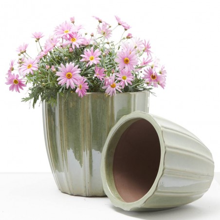 MACETA VASO ELEGANCIA VERDE