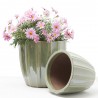 MACETA VASO ELEGANCIA VERDE
